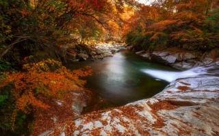 红叶在光雾山图片：解锁“9月绿意酝酿”与10月巅峰期前瞻，在10月下旬邂逅东方圣山诗行