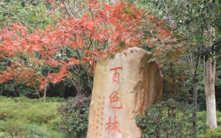 秋天到四川旅游景点：从川西彩林到古镇秋意，一次选对目的地