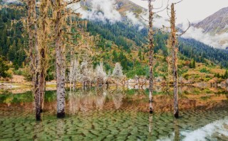 四姑娘山红叶景区：解锁“东方圣山彩林盛宴”与三沟差异化体验，在10月下旬邂逅川西诗行
