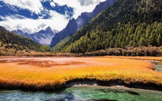 八仙山简介，八仙山旅游攻略