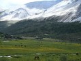 四川旅游公司排名｜比“第几名”更重要的，是选对正规旅行社