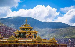 天福观光茶园简介，天福观光茶园旅游攻略