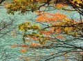 四川南部县旅游景点：在嘉陵江畔，过两天慢下来的日子