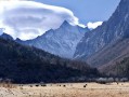 湖北旅游十大必去景区之首，神农架，去了才知道什么叫人间仙境