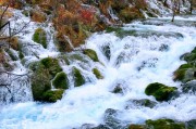 四川私人定制旅游怎么选？2026年10月家庭、摄影、亲子与轻奢行程设计指南