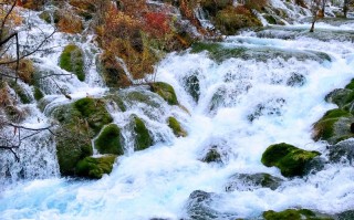 四川私人定制旅游怎么选？2026年10月家庭、摄影、亲子与轻奢行程设计指南