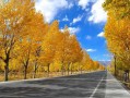 山西红色旅游十大景区排名榜，你去过几个？
