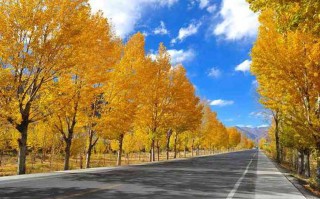 华蓥山里头藏了10个神仙地方，第7个我赌你连名字都念不对