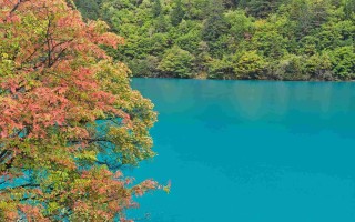 2012年7月九寨沟每日入园人数统计与客流趋势分析