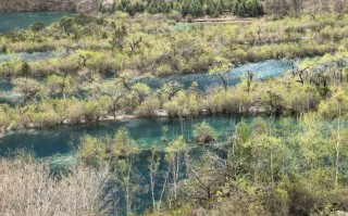 娄底九寨沟旅游团｜成都集合、高铁/大巴纯玩团怎么选