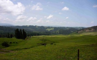 十六日游，《疆山如画》纵横南北疆全景深度，旅游专列