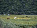 贵州四川旅游｜从赤水河畔到喀斯特山水的跨省走法