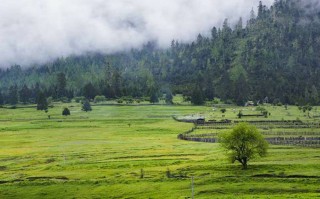 在郑州暴走3天，这10个地方不去等于白来（附避*实感）