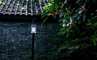 南京必去的十大旅游风景区，更后一个你肯定没听过