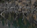 五月四川旅游攻略｜雪山花海、碧水杜鹃，错峰出行的黄金窗口