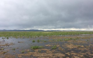 八日游，云端甘陇南 1+1豪华纯玩动车团，成都到甘南旅游团