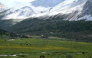 稻城亚丁旅游景点介绍：三神山、圣湖与草甸一次读懂