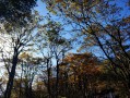 冬天去四川哪里旅游比较好｜先选玩法，再选目的地