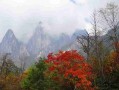 蒙顶山简介