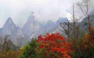 四川旅游分几条线路？2026四川旅游路线全攻略（川西/九寨/人文/自驾）