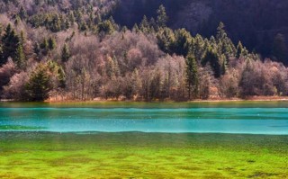 那坡县十大旅游风景区，藏在广西边境的冷门秘境，去过三个算你厉害