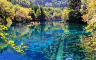九寨沟旅游跟团游：纯玩、小团、私家团，哪种更适合你