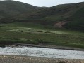 四川有哪些旅游景点比较好玩｜从九寨沟彩林到成都熊猫，按人群和季节选