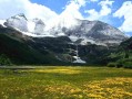 四川合江旅游：在长江与赤水河之间，遇见古镇、酱香与山林