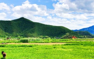 成都中秋国庆周边旅游：2026双节同庆出游指南