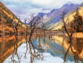 四川省的旅游景点｜世界遗产、川西秘境与城市人文，按主题分类指南