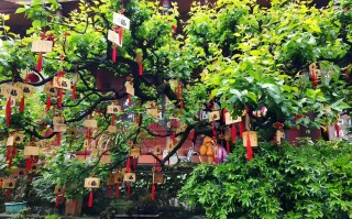 峨眉山旅游地图｜把山看“平”，从一张图开始