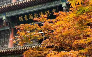 上林县这地方，说真的，我本来没抱太大期待。结果一脚油门下去，三天没出来。下面这十个地方，有的是你搜得到的，有的连路边指示牌都掉漆了