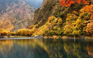 四川古蔺旅游：赤水河畔的红色、酱香与原始森林