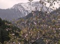 广元出发九寨沟旅游：3小时高速自驾、大巴班次与唐家河串联攻略