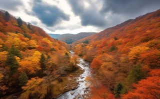 光雾山红叶：赴一场“亚洲最长天然红地毯”的极致秋色之约