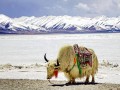 扶绥，藏不住了！这10个地方才是广西人的秘密后花园
