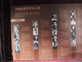 成都出发雅安三日游：三天两夜，把熊猫、茶山、古镇和云海一次走完