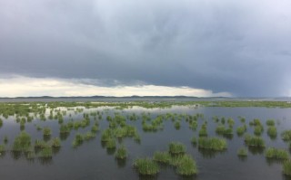 若尔盖花湖景区介绍