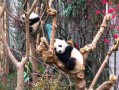 三亚旅游十大景区，我替你踩过的*和发现的宝
