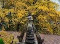 这是为你准备的一篇文章，风格偏个人化、带点吐槽和真实感受，希望你喜欢