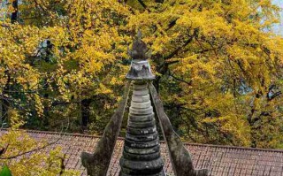 四川冬季旅游最佳路线：5条主题线路，把雪山、温泉、灯会与古镇年味一次走完