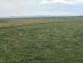 四川藏区旅游景点有哪些｜从稻城亚丁到色达，从九寨沟到若尔盖，一张图看懂川西藏区