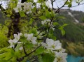 九寨沟旅游包包：背包怎么选，东西怎么带更省心