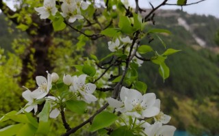 九寨沟旅游包包：背包怎么选，东西怎么带更省心