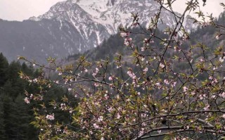 四川九寨沟冬季旅游｜淡季半价看蓝冰，这才是九寨沟的"静音模式"