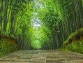 湖北A级景区的十大扛把子，你打卡过几个？