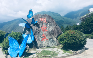 云南蝴蝶泉详细介绍：苍山脚下的诗意秘境