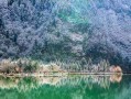 绵竹这地方，我劝你真的别去，去了就不想走