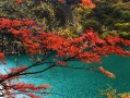 去四川重庆旅游大概多少钱｜把账算清楚，出发才不慌