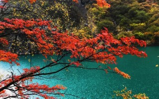 去四川重庆旅游大概多少钱｜把账算清楚，出发才不慌